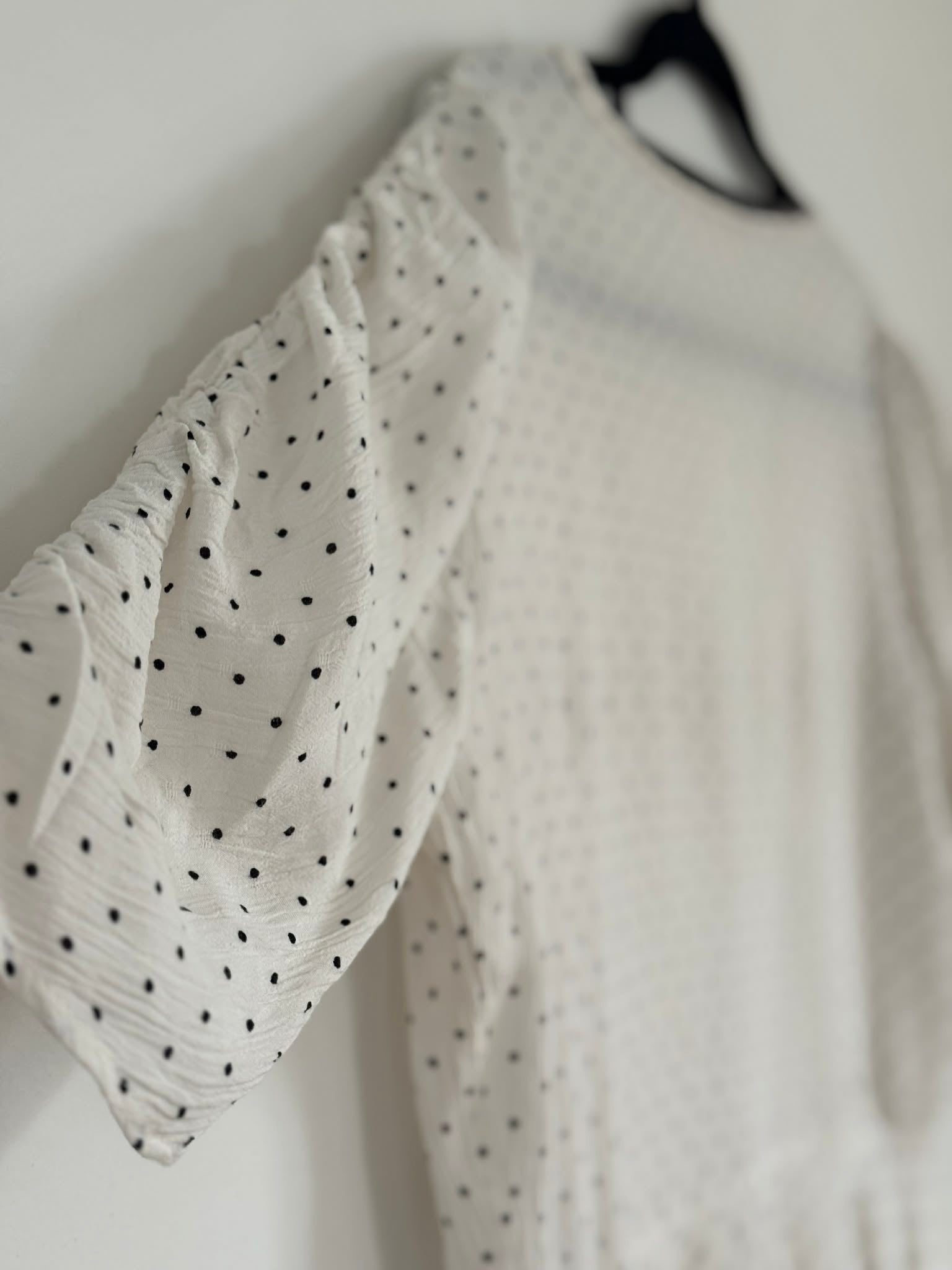 Zara Polka Dot Top (Size 12 - 14)